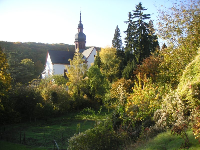 Kloster Eberbach im Herbst