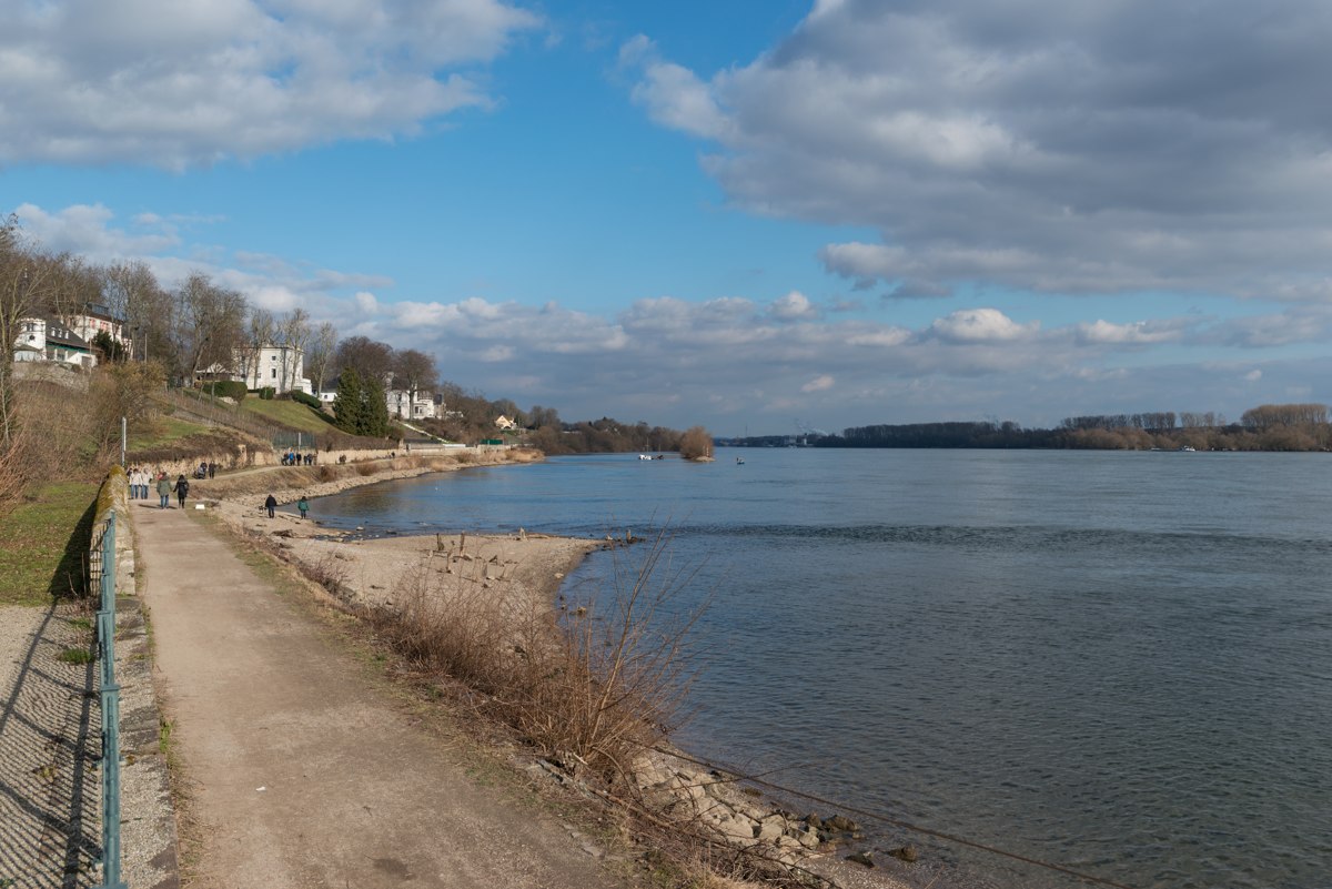 Leinpfad am Rhein