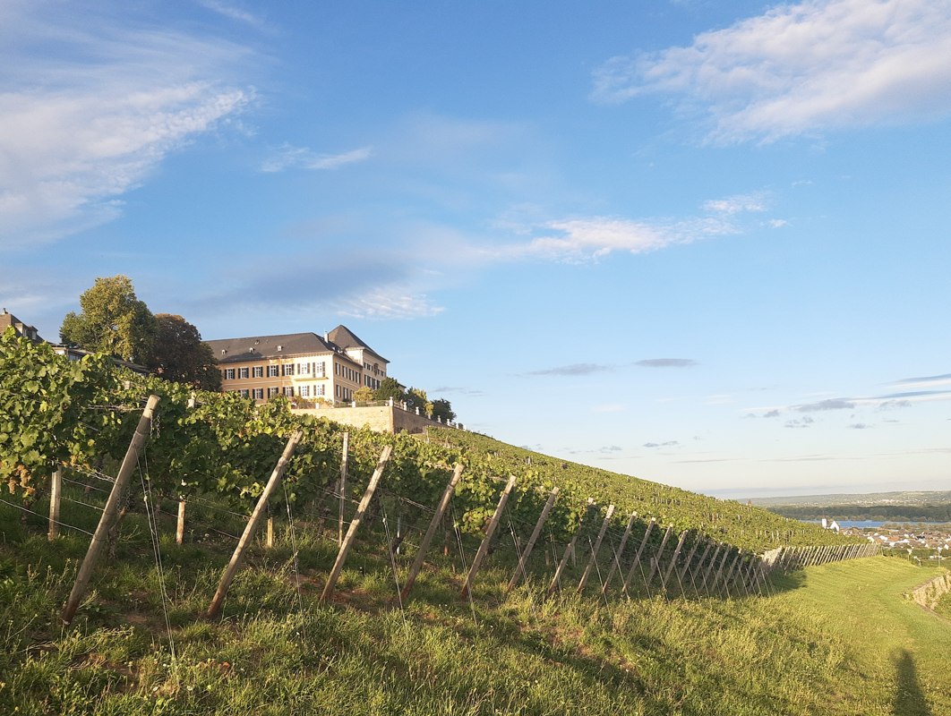 Johannisberg