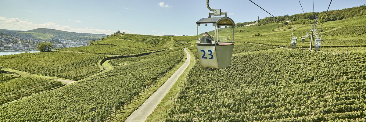 Rüdesheim