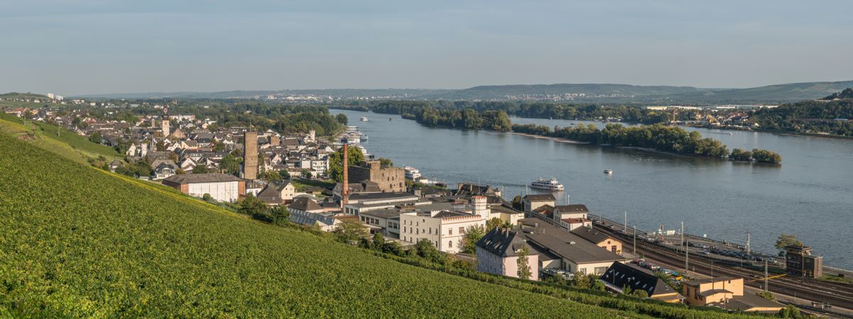 Rheingauer Riesling Route