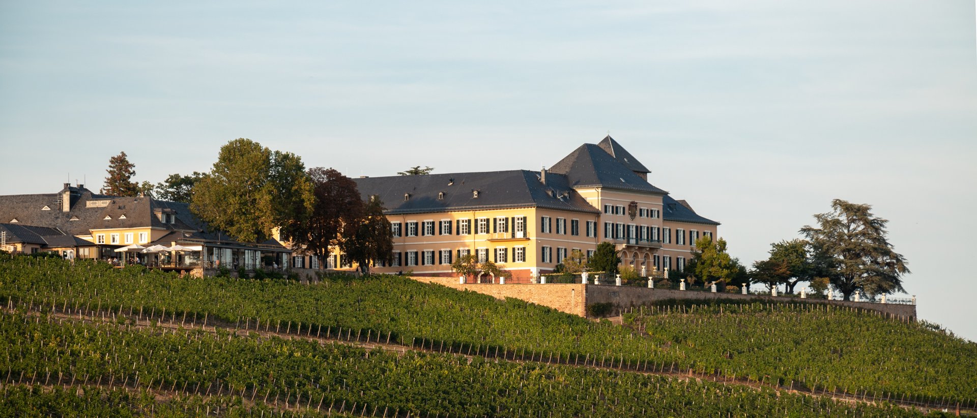 Schloss Johannisberg mit Weinbergen im Rheingau aus der Luft
